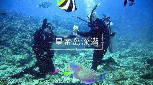 妙鸭相机app下载官网