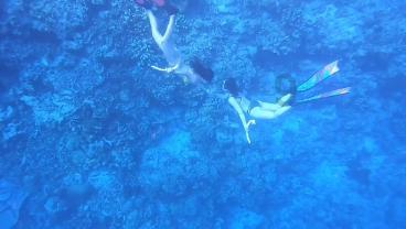 轻松问答,尽在读完初中上的技校3+2的幼师可以考小学和初中的教师资格证吗?蜗牛问答平台